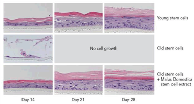 1586506268586842.png 图片2.png